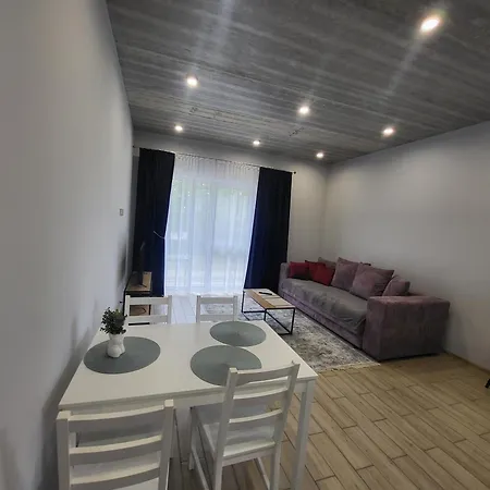 Jaukus Butas Panemuneje Su Vaizdu I Nemuna Apartment