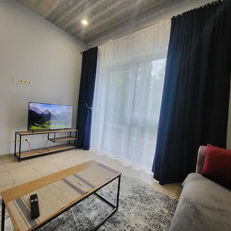 Jaukus Butas Panemuneje Su Vaizdu I Nemuna Apartment *